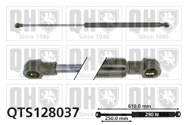 Amortecedor de tampa de porta-malas (de 3ª/5ª porta traseira) para Renault 18  135